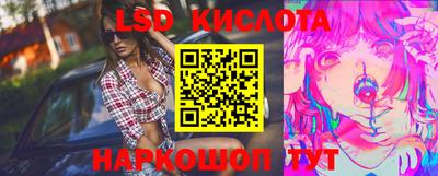 шишки Кимры