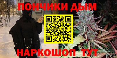 шишки Кимры