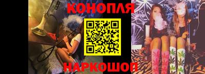 шишки Кимры